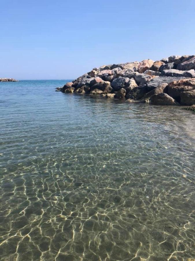 Charmant T 2 vue mer pied dans l'eau Le Barcarès Extérieur photo