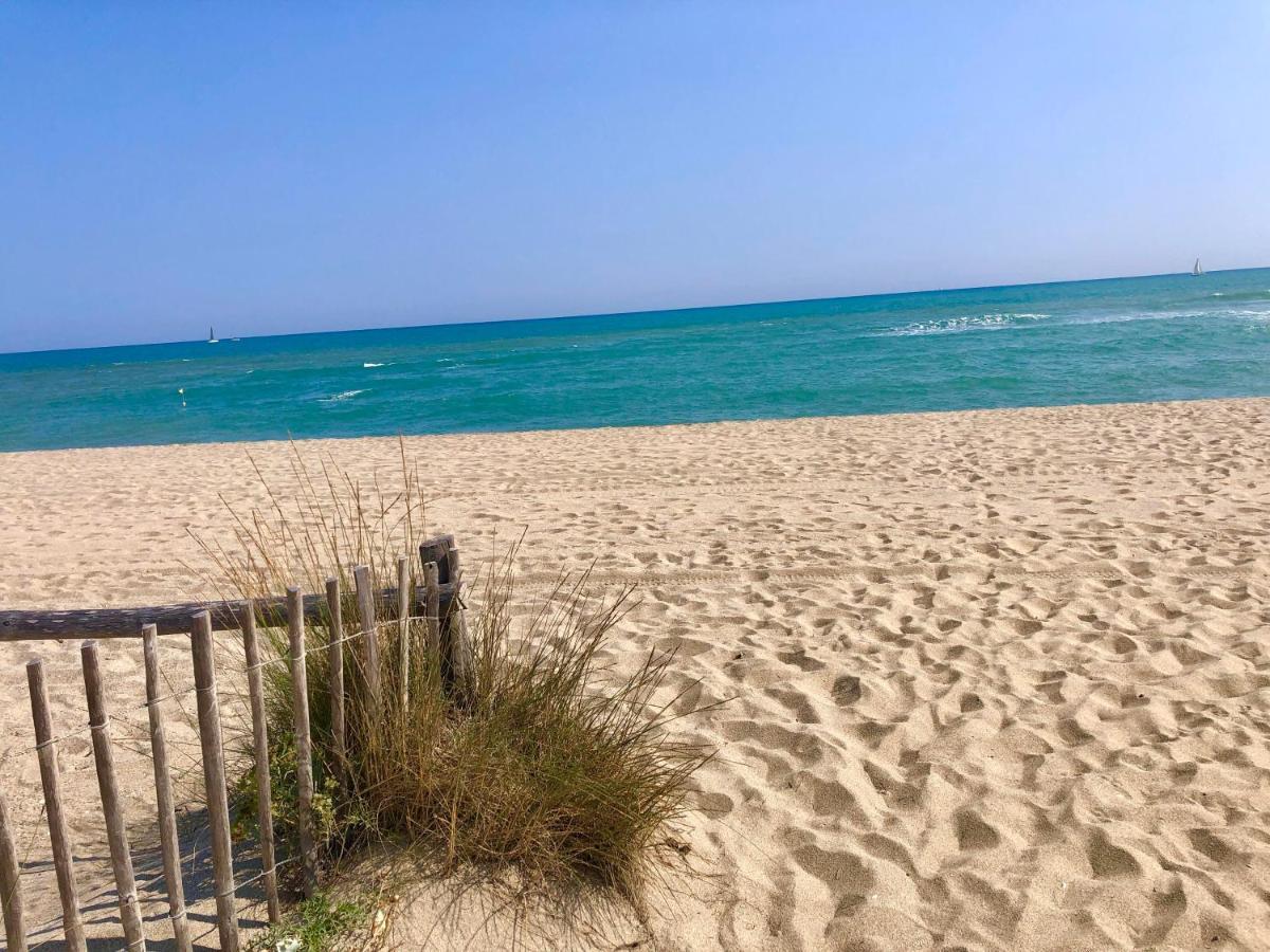 Charmant T 2 vue mer pied dans l'eau Le Barcarès Extérieur photo